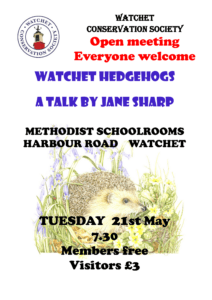 open meeting hedgehogs May 1